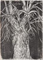 Large Jim Dine BIG BLACK & WHITE TREE Woodcut, 57H - Sold for $1,088 on 02-17-2024 (Lot 34).jpg